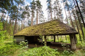 Baltic2016 Riga OpenAirMuseum 030