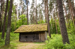 Baltic2016 Riga OpenAirMuseum 059