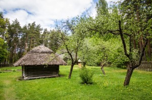 Baltic2016 Riga OpenAirMuseum 103