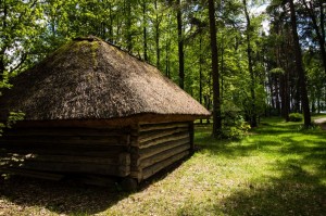 Baltic2016 Riga OpenAirMuseum 125