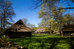 Baltic2016 Tallinn OpenAirMuseum 046