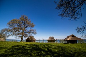 Baltic2016 Tallinn OpenAirMuseum 052