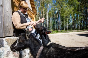 Baltic2016 Tallinn OpenAirMuseum 060