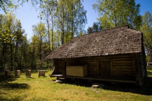 Baltic2016 Tallinn OpenAirMuseum 069