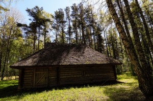 Baltic2016 Tallinn OpenAirMuseum 071