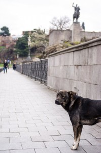 Georgia2015_01_Tbilisi_013