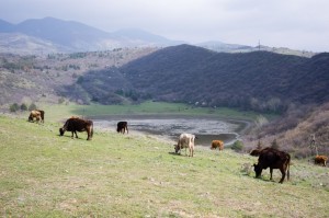 Georgia2015_02_Mtskheta&NarikalaFortress_016