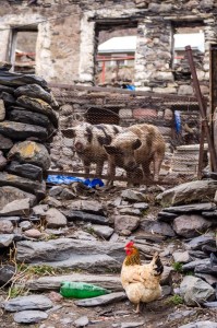Georgia2015_03_Kazbegi_071