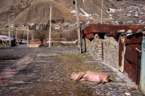Georgia2015_03_Kazbegi_082