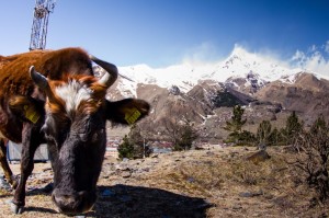 Georgia2015_03_Kazbegi_098