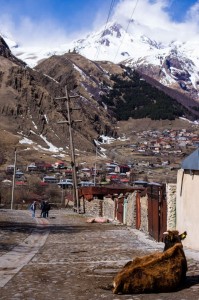 Georgia2015_03_Kazbegi_100