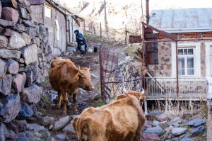 Georgia2015_03_Kazbegi_140