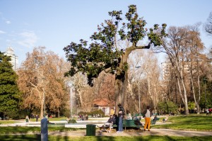 Milano2015_046