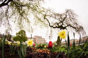 Sweden_Stockholm_041