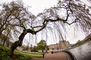 Sweden_Stockholm_042