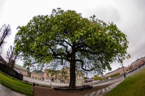 Sweden_Stockholm_044