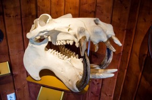 Sweden_Stockholm_125