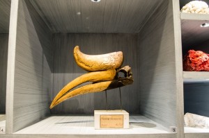 Sweden_Stockholm_227