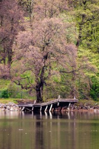 Sweden_Stockholm_291