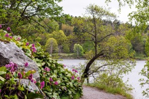 Sweden_Stockholm_294